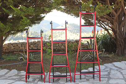 Twin step ladder